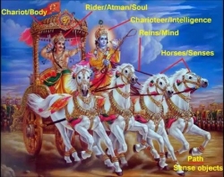 Chariot Krishna Arjuna