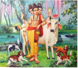 Dattatreya Muni